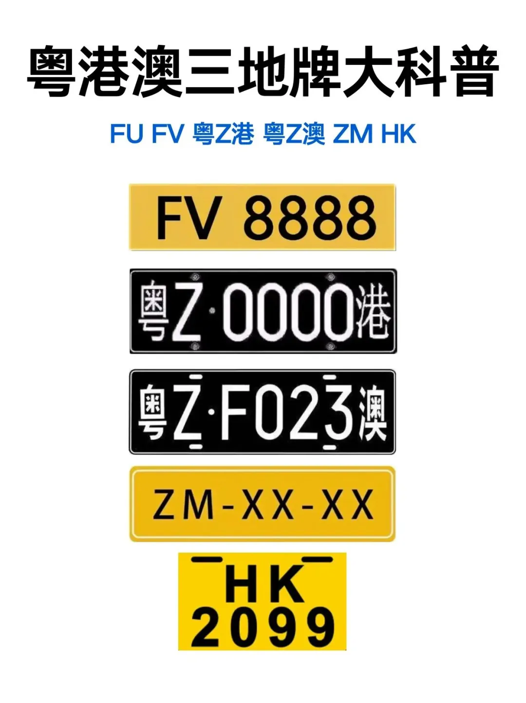 粤港两地车牌（FV和粤Z）是粤港澳大湾区融合的独特标识